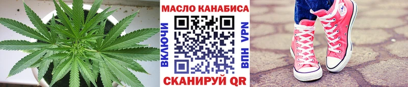 Купить где  Гремячинск  ТГК концентрат 
