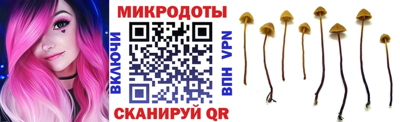Купить  Гремячинск  Псилоцибиновые грибы MAGIC MUSHROOMS 